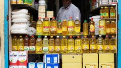 Mustard Oil Prices : सवाईमाधोपुर सहित राजस्थान में सरसों का रिकॉर्ड उत्पादन, फिर भी तेल क्यों है महंगा?