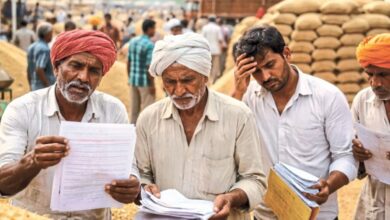 Rajsamand: फसल तैयार पर गिरदावरी रिकॉर्ड ‘जीरो’, किसानों की मेहनत पर सेटलमेंट की मार, MSP का सपना अधूरा