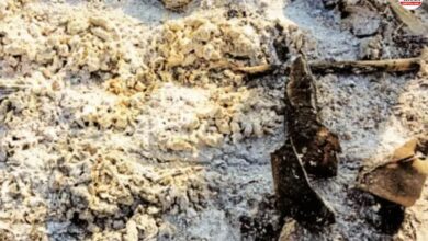 Shocking News: अस्थियां चोरी कर तंत्र-मंत्र? बूंदी के श्मशान घाट में चौंकाने वाली घटना, परिजन गुस्से में थाने पहुंचे