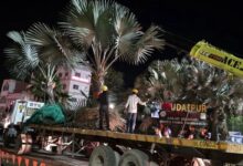 देर रात उदियापोल सर्कल से हटे पेड़, दिया पर्यावरण संरक्षण का संदेश