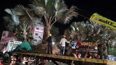 देर रात उदियापोल सर्कल से हटे पेड़, दिया पर्यावरण संरक्षण का संदेश