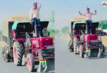 सवाई माधोपुर: बजरी माफिया की खुलेआम चुनौती, ट्रैक्टर पर स्टंट का वीडियो वायरल