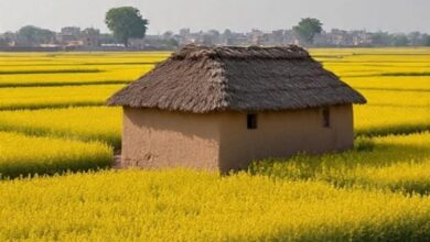 झुंझुनूं : बाजार छोड़ने के बहाने लड़की को बाइक पर बैठाया, खेत में ले जाकर दुष्कर्म की वारदात को दिया अंजाम, कोर्ट ने सुनाई सजा