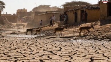 Dungarpur Water Crisis : डूंगरपुर में सूखे जलस्रोत से बढ़ा संकट, गांवों की ओर बढ़ रहे प्यासे वन्य जीव, दहशत में ग्रामीण