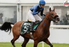 राजस्थान की बेटी रूपा राठौड़ का विश्व में डंका, बनीं नंबर-1 जॉकी, 750 जीत और सर्वश्रेष्ठ स्ट्राइक रेट के साथ रचा इतिहास