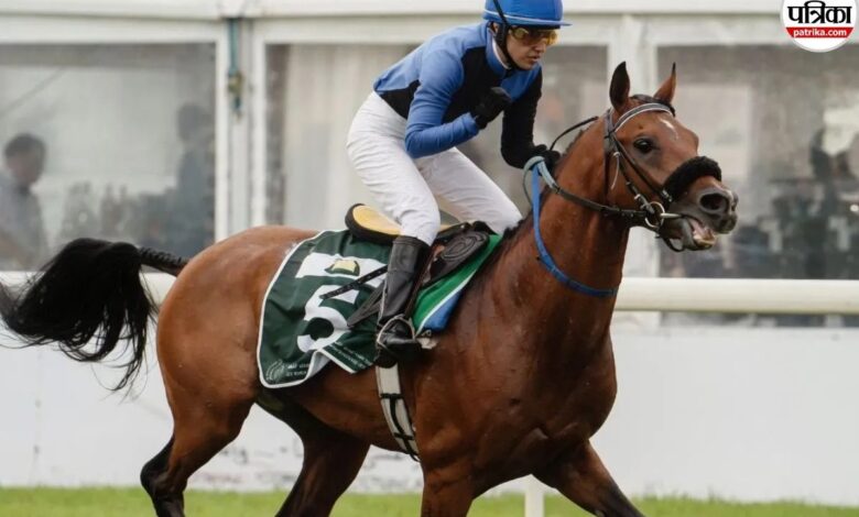 राजस्थान की बेटी रूपा राठौड़ का विश्व में डंका, बनीं नंबर-1 जॉकी, 750 जीत और सर्वश्रेष्ठ स्ट्राइक रेट के साथ रचा इतिहास