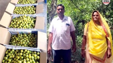 Rajasthan Farmers : आंवला-नींबू की बागवानी से महिला किसान की बदली किस्मत, हर साल हो रही लाखों रुपए की कमाई