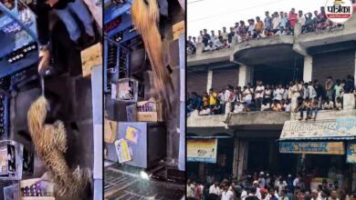 CCTV : राजस्थान में घनी आबादी क्षेत्र में घुसा खूंखार पैंथर- कई लोगों पर अटैक, ‘बहादुर’ सेल्समैन ने दुकान का शटर बंद कर किया कैद
