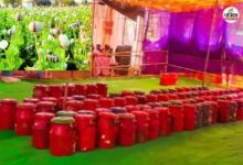 Pratapgarh: अफीम परख प्रक्रिया में ​काश्तकारों को मिली बड़ी राहत, अफीम तौल में अब 3 श्रेणी वर्गीकृत