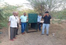 पैंथर की दस्तक, ग्रामीणों में खौफ, वन विभाग ने लगाया पिंजरा