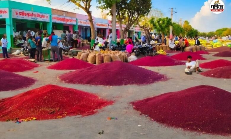 Mustard Prices Hike : सरसों के भावों में आया अचानक उछाल, 6700 रुपए प्रति क्विंटल पहुंचा रेट, किसान खुश