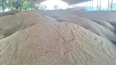 एमएसपी खरीद पटरी से उतरी: आदेशों की उलझन में फंसे किसान-व्यापारी