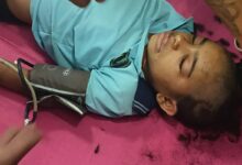 Bee Attack: स्कूल में मासूम परी पर कहर बनकर टूटी मधुमक्खियां, 150 से अधिक डंक निकाले, काटने पड़े सिर के बाल