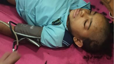 Bee Attack: स्कूल में मासूम परी पर कहर बनकर टूटी मधुमक्खियां, 150 से अधिक डंक निकाले, काटने पड़े सिर के बाल