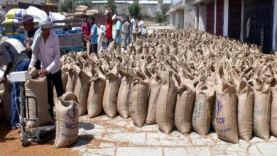 Churu : चूरू में किसानों के लिए खुशखबरी: MSP पर सरसों-चना की खरीद शुरू