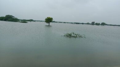 दूदू में नहीं सुधरे हालात, हर तरफ पानी बढ़ा रहा परेशानी