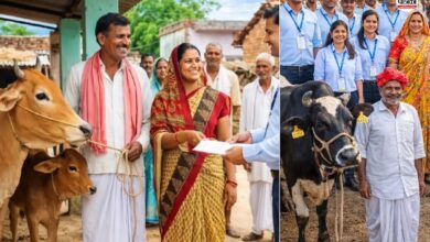 Mangla Pashu Bima Yojana : राजस्थान में 19.37 लाख पशुओं का फ्री बीमा, मृत्यु पर मिलेंगे ₹40 हजार, पशुपालकों की बल्ले-बल्ले