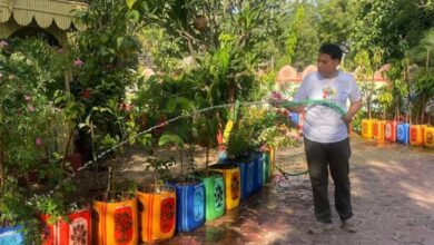 Nature Lover: पति-पत्नी ने 4 पेड़ काटने के दुख में लगा दिए 450 पेड़-पौधे, झालावाड़ का ये अनोखा घर बना मिसाल