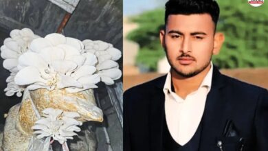 Story of Success: मशरूम खेती से बदली किस्मत, झुंझुनूं के 21 साल के युवक की कहानी कर देगी प्रेरित