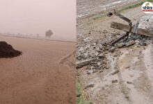 Sri Ganganagar Rain: ग्रामीण क्षेत्रों में मूसलाधार बारिश, पानी से खेत लबालब, आंधी से टूटे बिजली के पोल