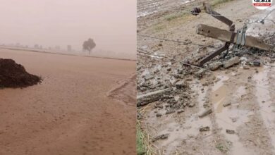 Sri Ganganagar Rain: ग्रामीण क्षेत्रों में मूसलाधार बारिश, पानी से खेत लबालब, आंधी से टूटे बिजली के पोल