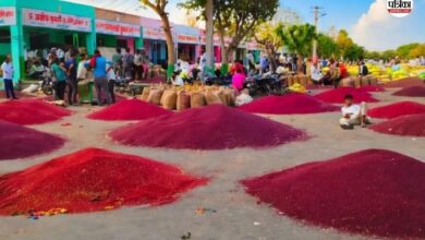 Mustard Prices Hike : सरसों के भावों में आया अचानक उछाल, 6700 रुपए प्रति क्विंटल पहुंचा रेट, किसान खुश