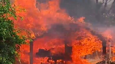 Dausa: भीषण आग से पांच भाइयों के घर राख, सोने-चांदी के जेवर पिघले, 2 भैसों की मौत, लाखों का नुकसान