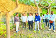 Bundi : झील पर पहुंची अभियंताओं की टीम, सर्वे में जुटी