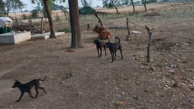 181 पर समस्याओं का फर्जी निस्तारण…लोग कहां करें भरोसा