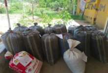 Jalore: जालोर में एएनटीएफ का बड़ा एक्शन, 240 किलो डोडा पोस्त के साथ तस्कर गिरफ्तार