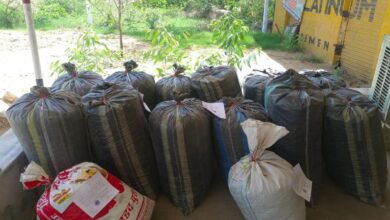 Jalore: जालोर में एएनटीएफ का बड़ा एक्शन, 240 किलो डोडा पोस्त के साथ तस्कर गिरफ्तार