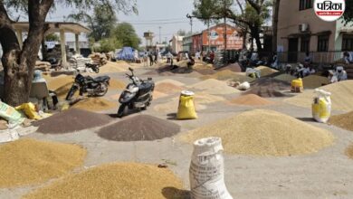 Mandi News: बम्पर आवक से फुल हुई मण्डी, माल रखने तक की जगह नहीं बची, 2 दिन बंद रहेगी