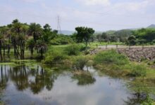 पर्यटन के नए केन्द्र बनेंगे यूडीए क्षेत्र के तालाब, बांध और बावड़ियां