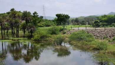 पर्यटन के नए केन्द्र बनेंगे यूडीए क्षेत्र के तालाब, बांध और बावड़ियां