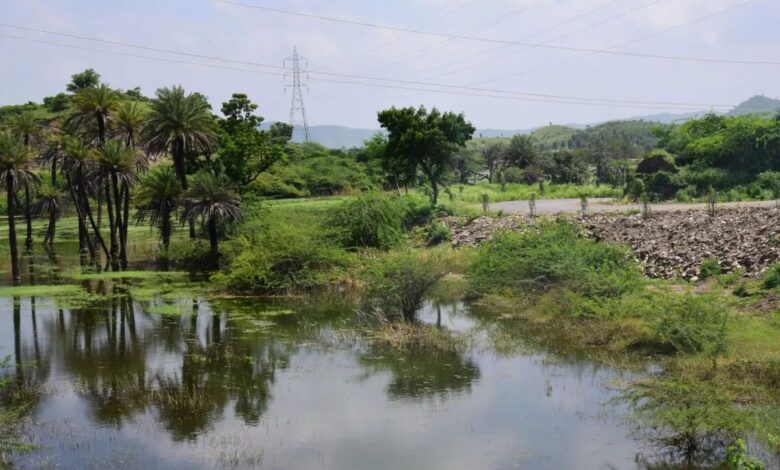 पर्यटन के नए केन्द्र बनेंगे यूडीए क्षेत्र के तालाब, बांध और बावड़ियां