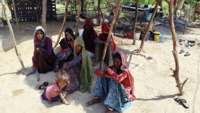 Rajasthan Firing: अंतरजातीय शादी से नाराज थे काका, गुस्साए भतीजे ने गोली से उड़ाया, परिवार में कोहराम, इलाके में दहशत