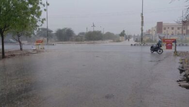 Rajasthan Weather News: राजस्थान में एक्टिव पश्चिमी विक्षोभ का नागौर में दिखा असर, एक घंटे तक हुई झमाझम बारिश