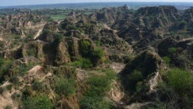 चंबल बीहड़ों में होगा सैर-सपाटा, ट्रेकिंग समेत कई योजना पर मंथन, सरकार को भेजा प्रस्ताव