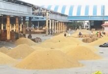 Kota Mandi Bhav : चना, सरसों, धनिया व लहसुन तेज