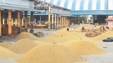 Kota Mandi Bhav : चना, सरसों, धनिया व लहसुन तेज