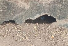 350 साल पुरानी विरासत पर संकट: राजसमंद झील की पाल जर्जर, बढ़ा खतरा, मिट्टी के बांध को अंदर से खोखला कर दिया