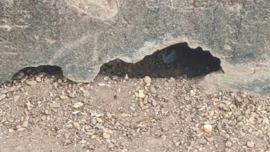 350 साल पुरानी विरासत पर संकट: राजसमंद झील की पाल जर्जर, बढ़ा खतरा, मिट्टी के बांध को अंदर से खोखला कर दिया