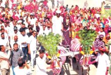 बैलगाड़ी में मायरा: राजसमंद में अनोखी पहल, आधुनिक दौर में परंपराओं को जीवित रखने का संदेश