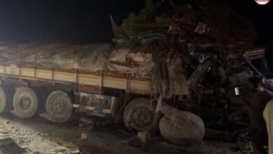 Rajasthan: कांडला हाईवे पर भीषण सड़क हादसा, ड्राइवर के गले से लोहे का सरिया आर-पार, केबिन में ही हुई मौत