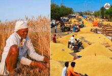 Rajasthan Farmers : राजस्थान के किसानों को मिल सकेगी राहत, केंद्र की तीन टीमें आज पहुंचेगी जयपुर, करेंगी मीटिंग