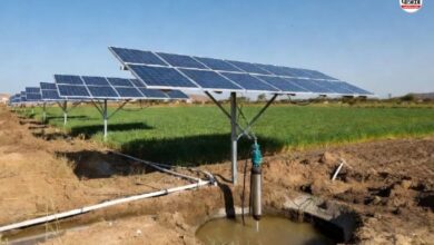 Rajasthan Farmers : राजस्थान के 3 जिलों के किसानों की खुली किस्मत, सोलर पम्प संयंत्र के लिए मिलेगा 60 फीसदी अनुदान