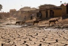 Dungarpur Water Crisis : डूंगरपुर में सूखे जलस्रोत से बढ़ा संकट, गांवों की ओर बढ़ रहे प्यासे वन्य जीव, दहशत में ग्रामीण