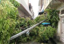 Rajasthan Weather: ब्यावर में तूफानी हवा के साथ बारिश, ओलों की बिछी चादर, वाहनों के शीशे टूटे