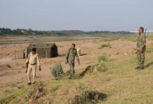 वन्यजीवों की सुरक्षा को चंबल किनारे गाड़े तम्बू, चौबीस घंटे निगरानी