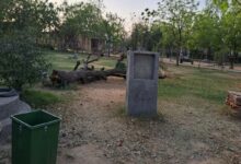 Churu News : बूंद-बूंद को तरसता चूरू का यह ऐतिहासिक पार्क, हरियाली हो रही खत्म